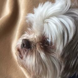 Ur Perfectly Fine (feat. Falselove & Calvin Kind)