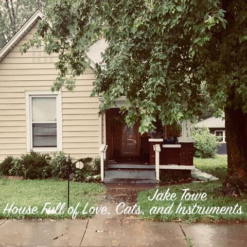A House Full of Love, Cats, and Instruments