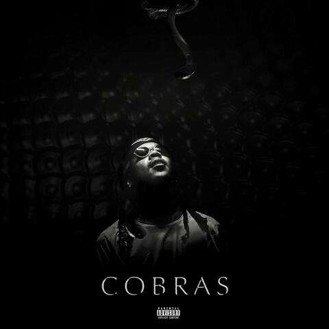 Cobras (feat. T Gallardo & Samsonyte)