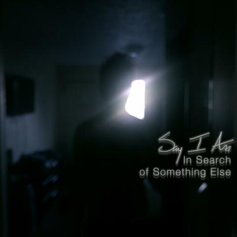 In Search of Something Else
