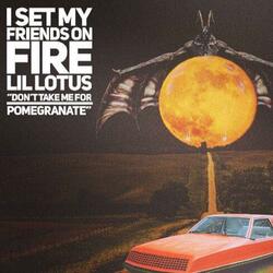 Don't Take Me for Pomegranate (feat. Lil Lotus)