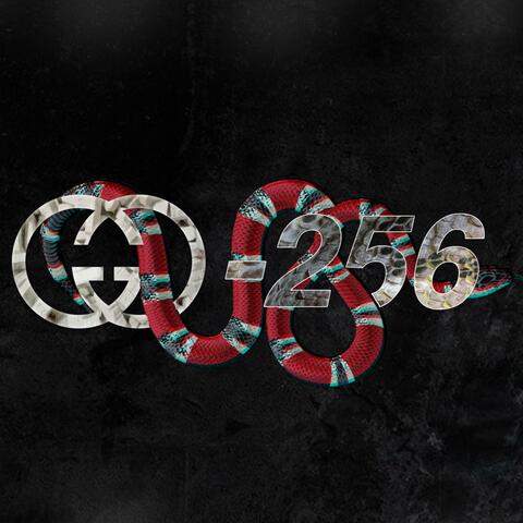 Gg-256