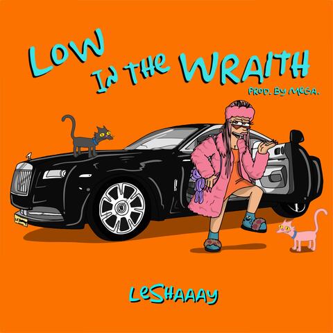 Low in the Wraith