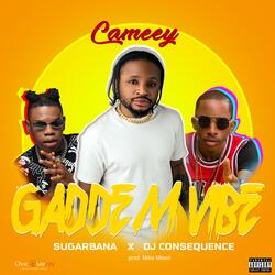 Gaddem Vibe (feat. Dj Consequence & Sugarbana)