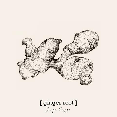 Ginger Root