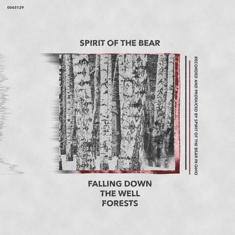 Forests EP