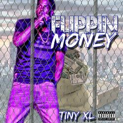 Flippin' Money