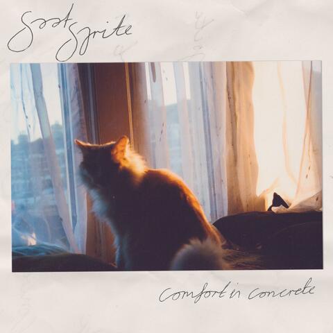 Comfort in Concrete