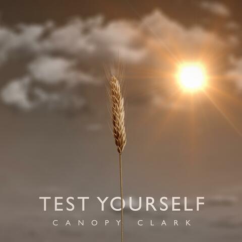 Test Yourself
