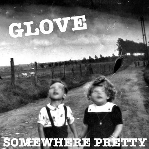 The Glove