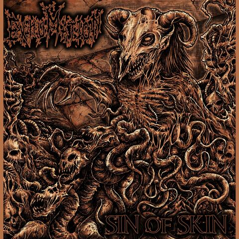 Sin of Skin