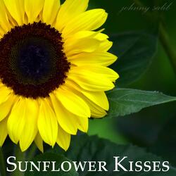 Sunflower Kisses