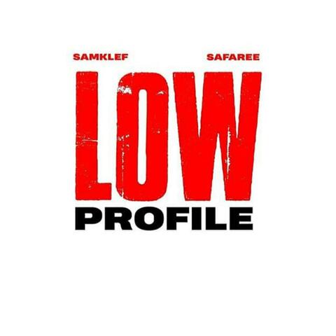 Low Profile (feat. Safaree)
