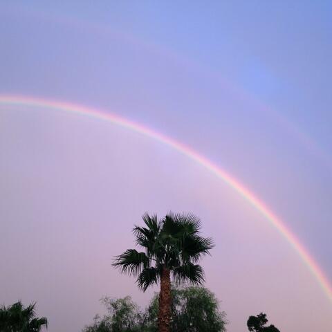 In God's Hands