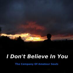 I Don't Believe in You