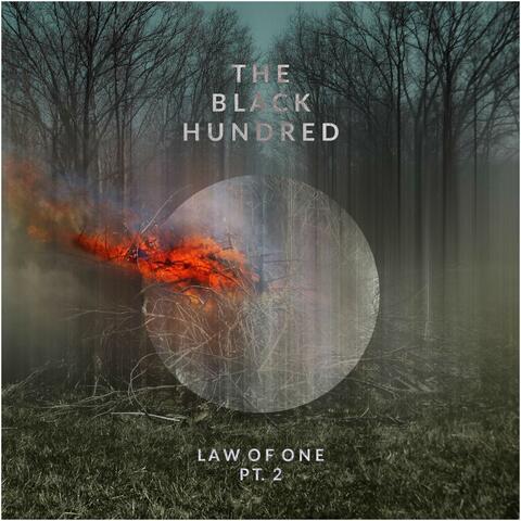 Law of One, Pt. 2