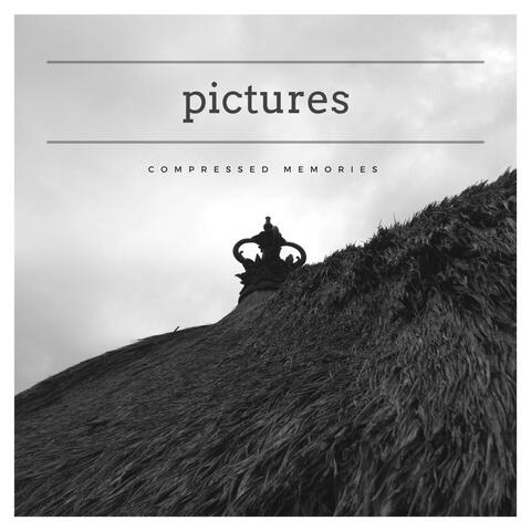 Pictures