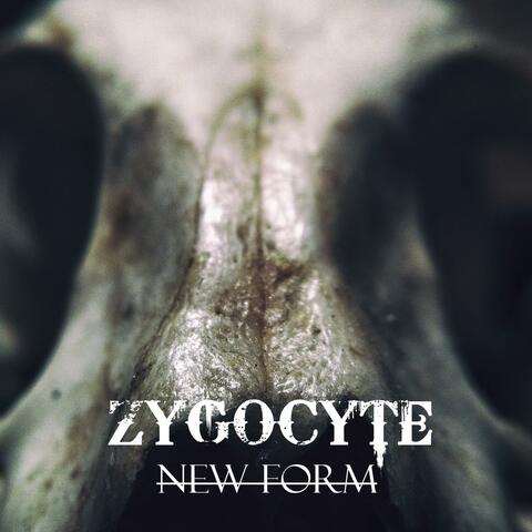 New Form