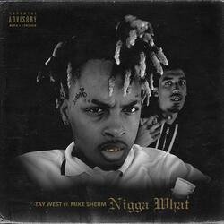 Nigga What (feat. Mike Sherm)