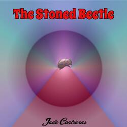 The Stoned Beetle