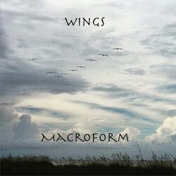 Wings