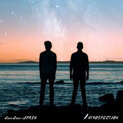 Introspection