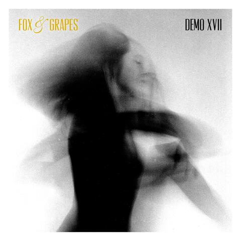 Demo XVII