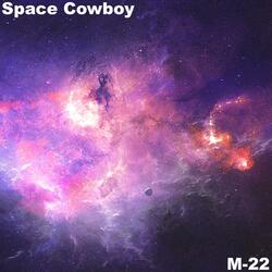 Space Cowboy