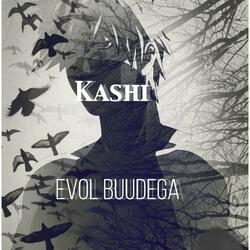 Kashi