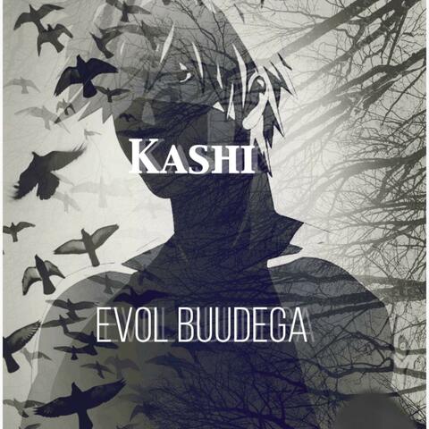 Kashi