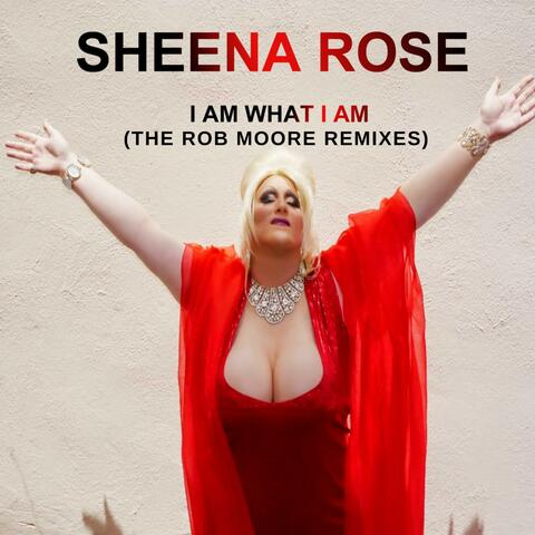 I Am What I Am - the Rob Moore Remixes