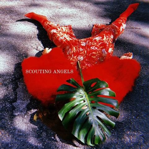 Scouting Angels