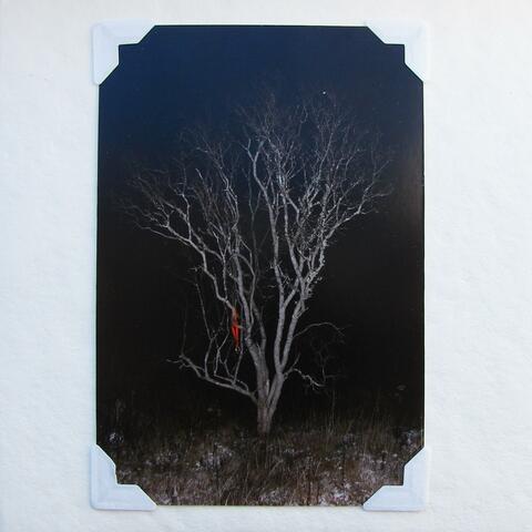 Winter Studies, No. 3
