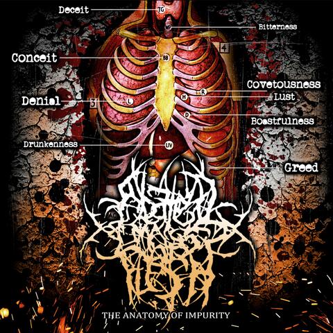 The Anatomy of Impurity