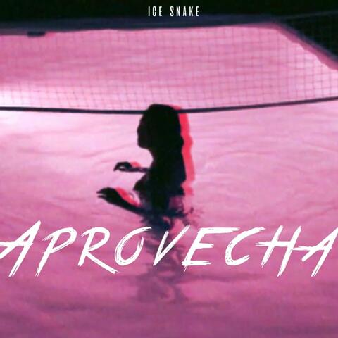 Aprovecha