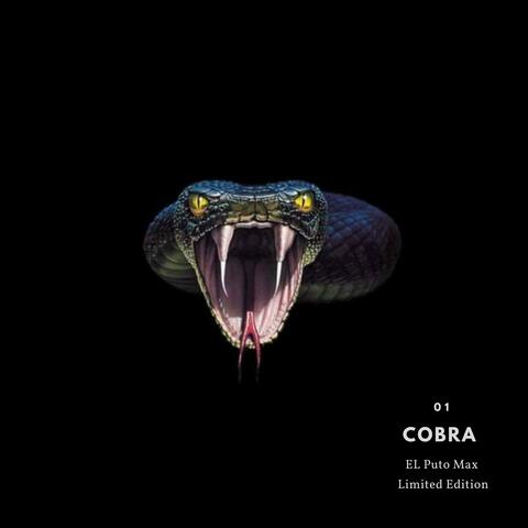 01 Cobra