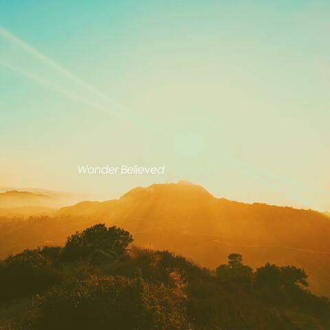 Wonder Believed
