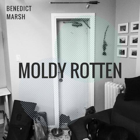 Moldy Rotten