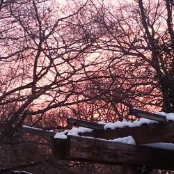 New Year (feat. Kent Taylor, Kai Liebert, Brice Cross & Bill Watkins)