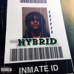Hybrid