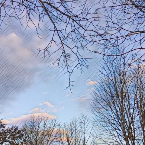 A Winter Afternoon