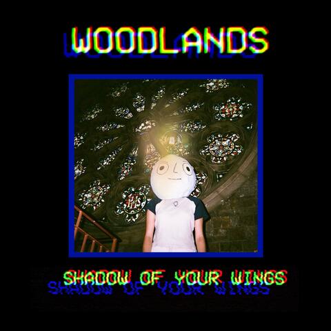 Shadow of Your Wings