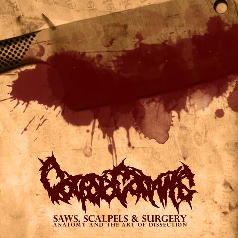 Saws, Scalpels & Surgery: Anatomy and the Art of Dissection
