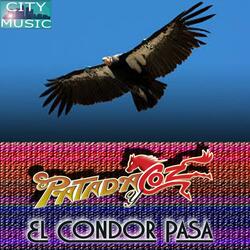 Chat condor CoNDOR