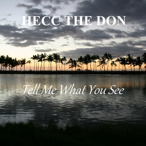 Tell Me What You See