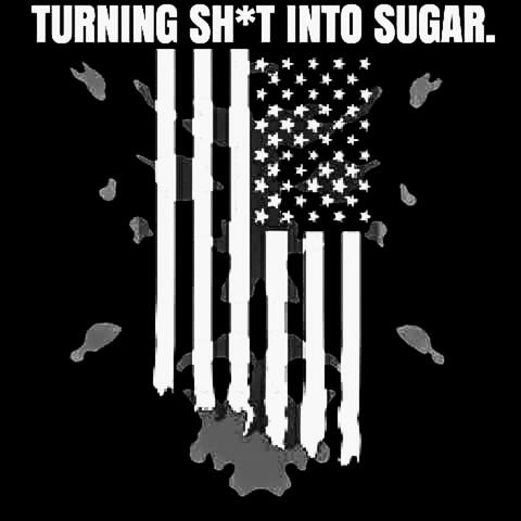 Turning Shit Into Sugar.