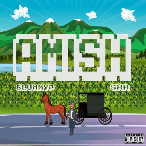 Amish