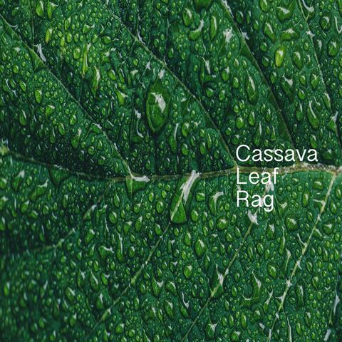 Cassava Leaf Rag
