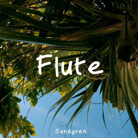 Flute