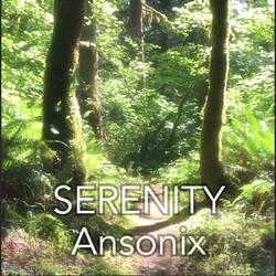 Serenity (Radio Edit)